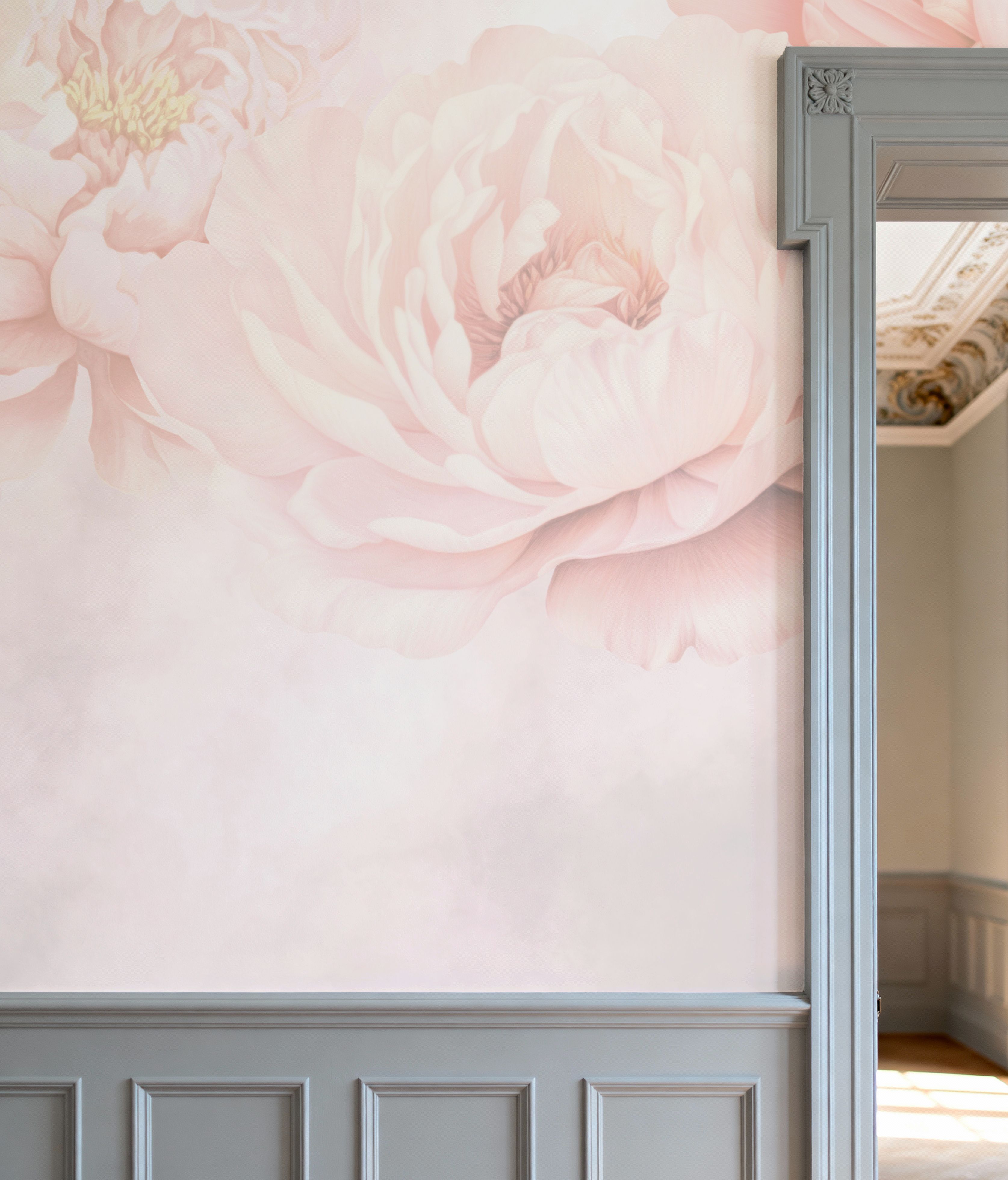Transcendent Peony, Blush Pink