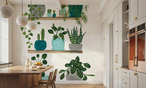 My Boho Plants I