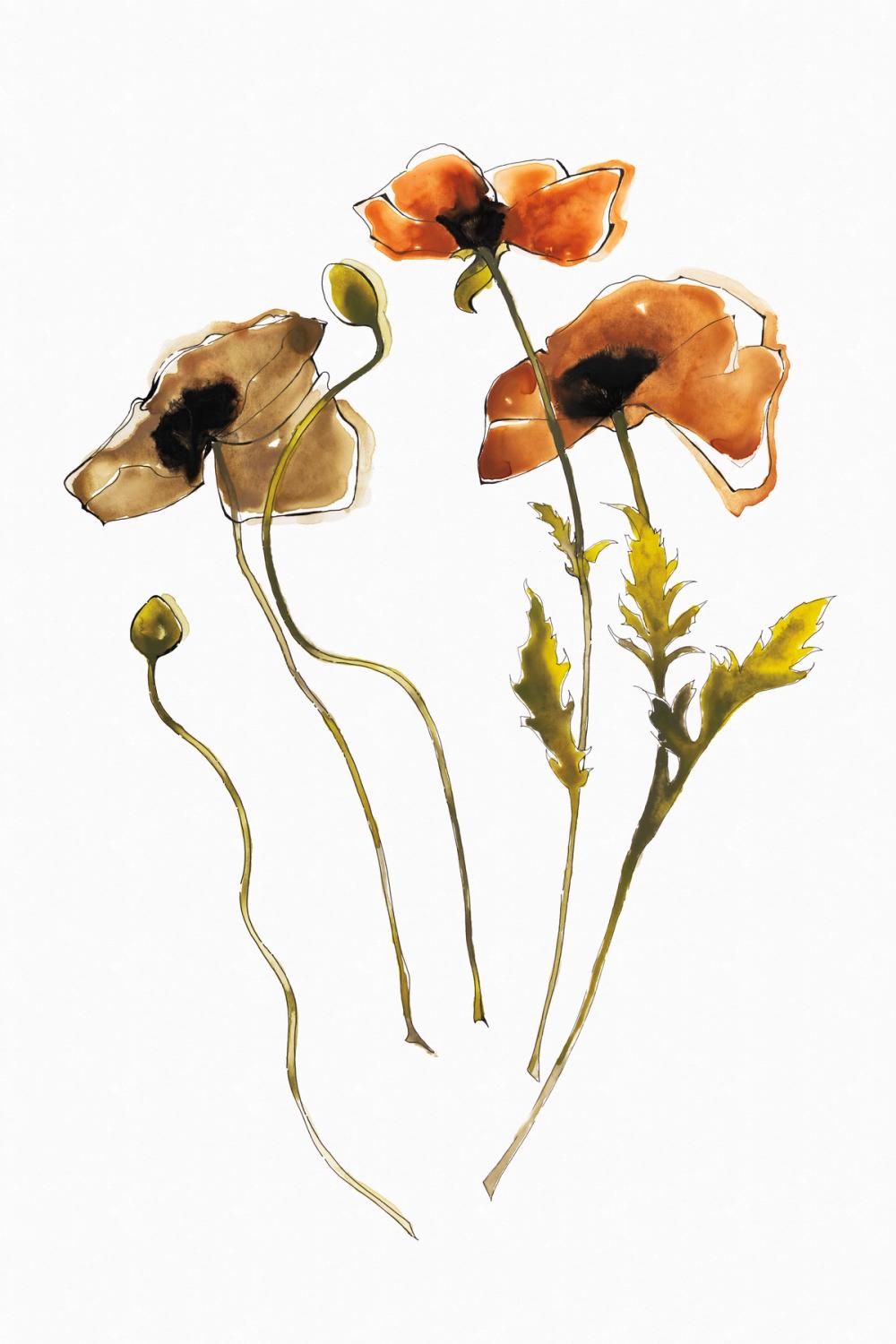 Autumn Orientals Vignette II