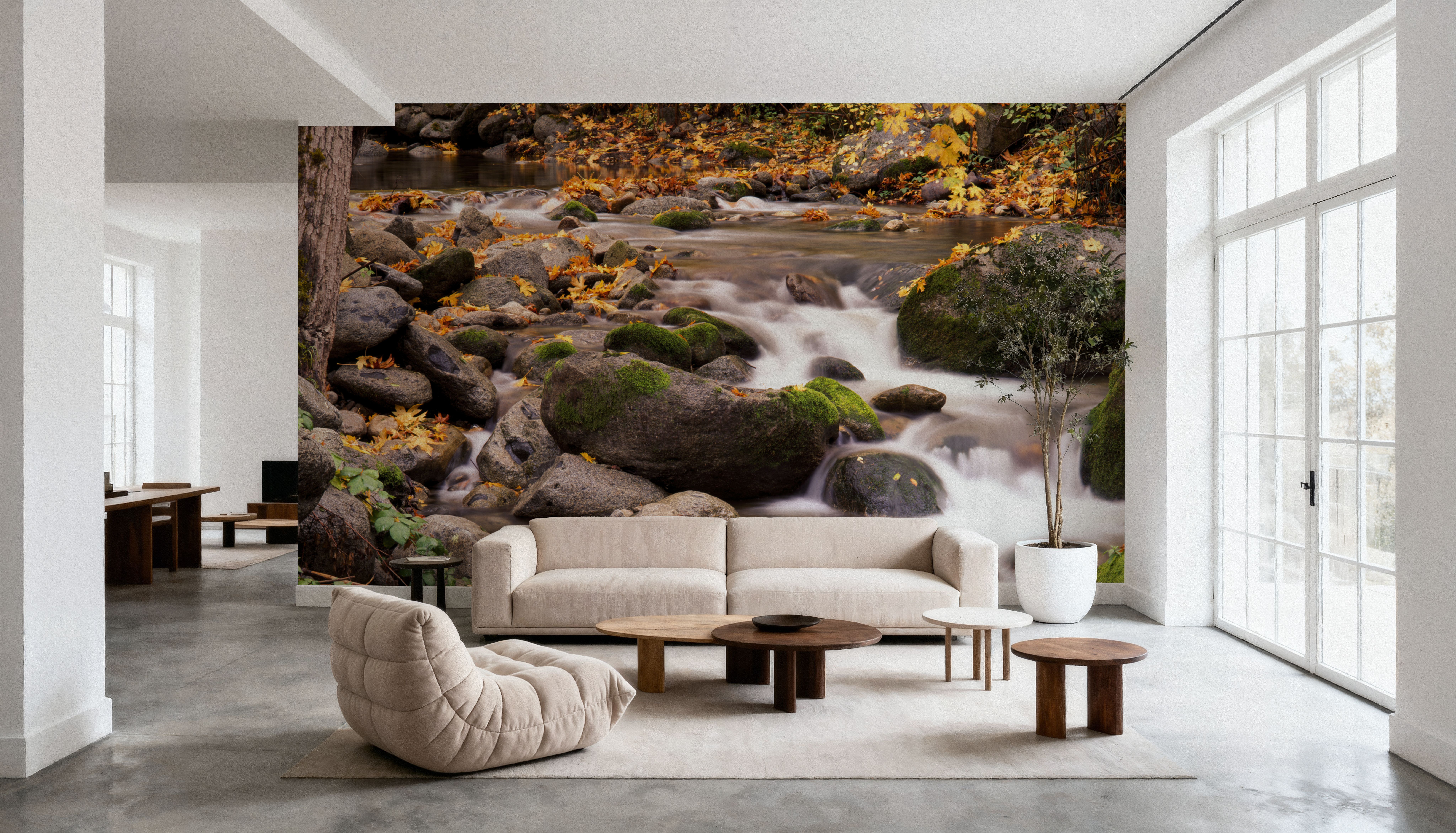 Autumn Creek Serenity