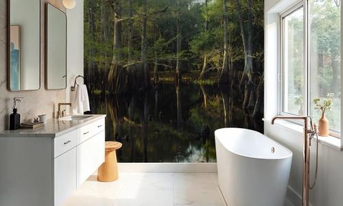 Fisheating Creek