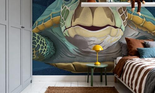 Hello Turtle, Aqua