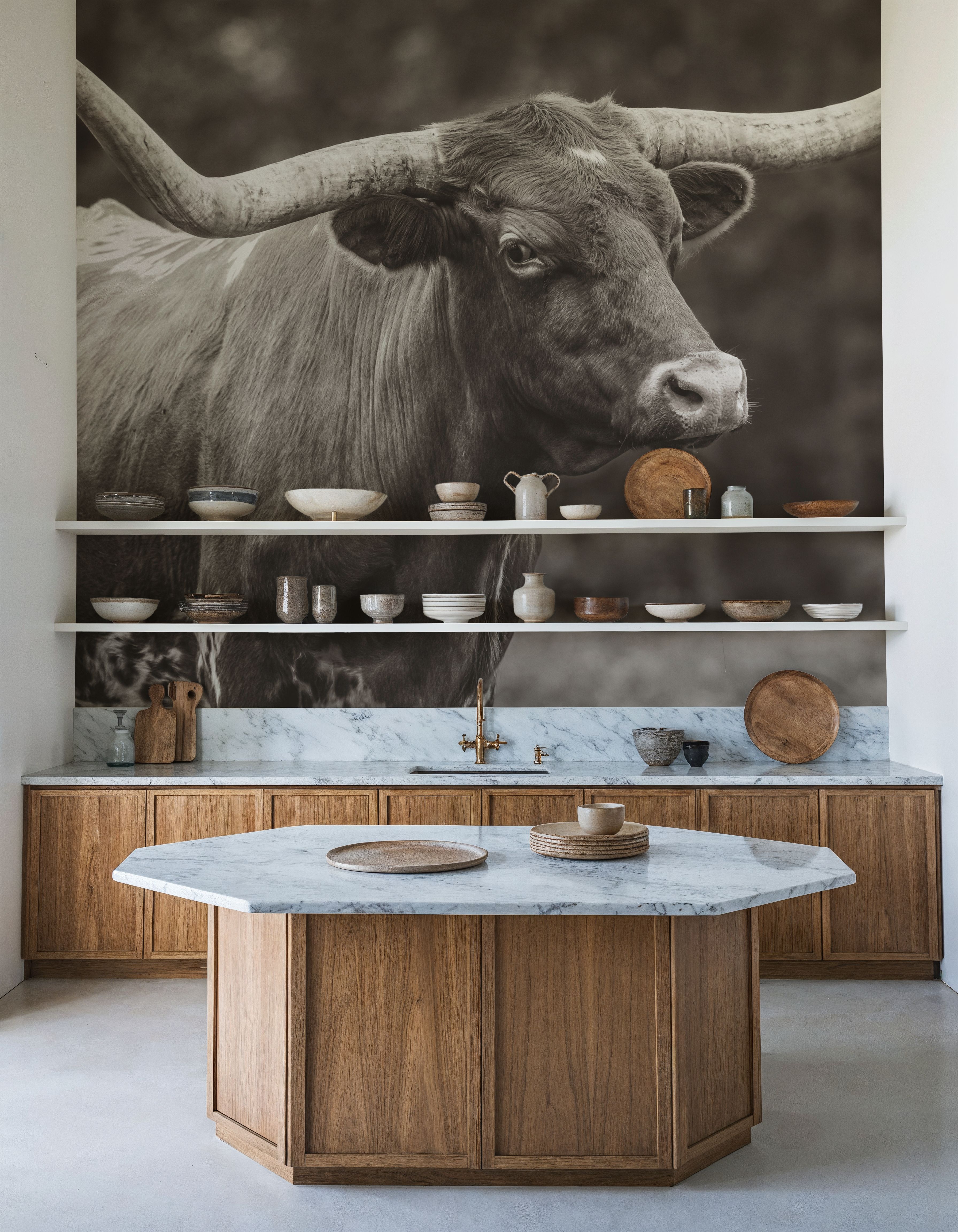 Longhorn Side Eye Sepia