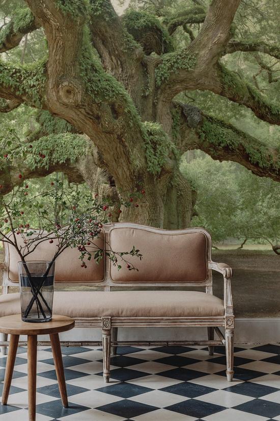 Angel Oak Tree