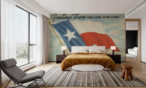 Greetings from the Lone Star State - Screenprint Postcard