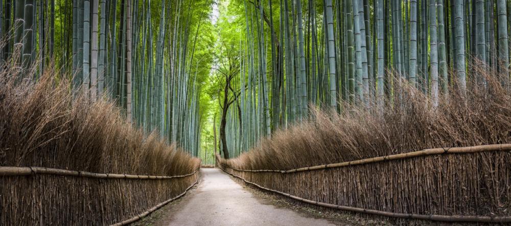 Arashiyama