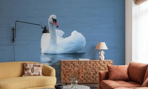White Swan