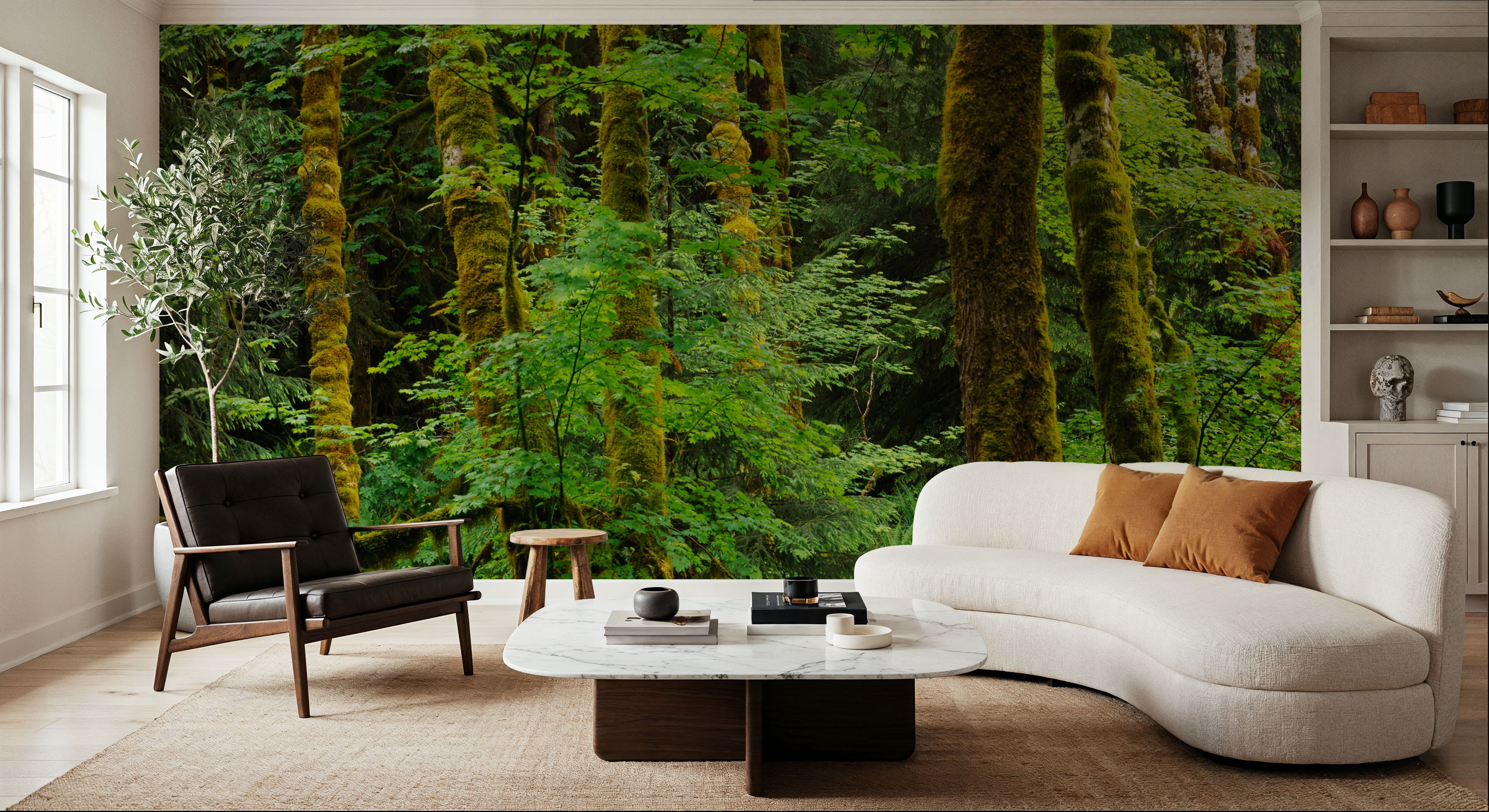 Evergreen Trees