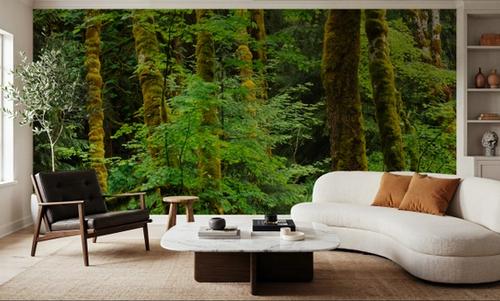 Evergreen Trees