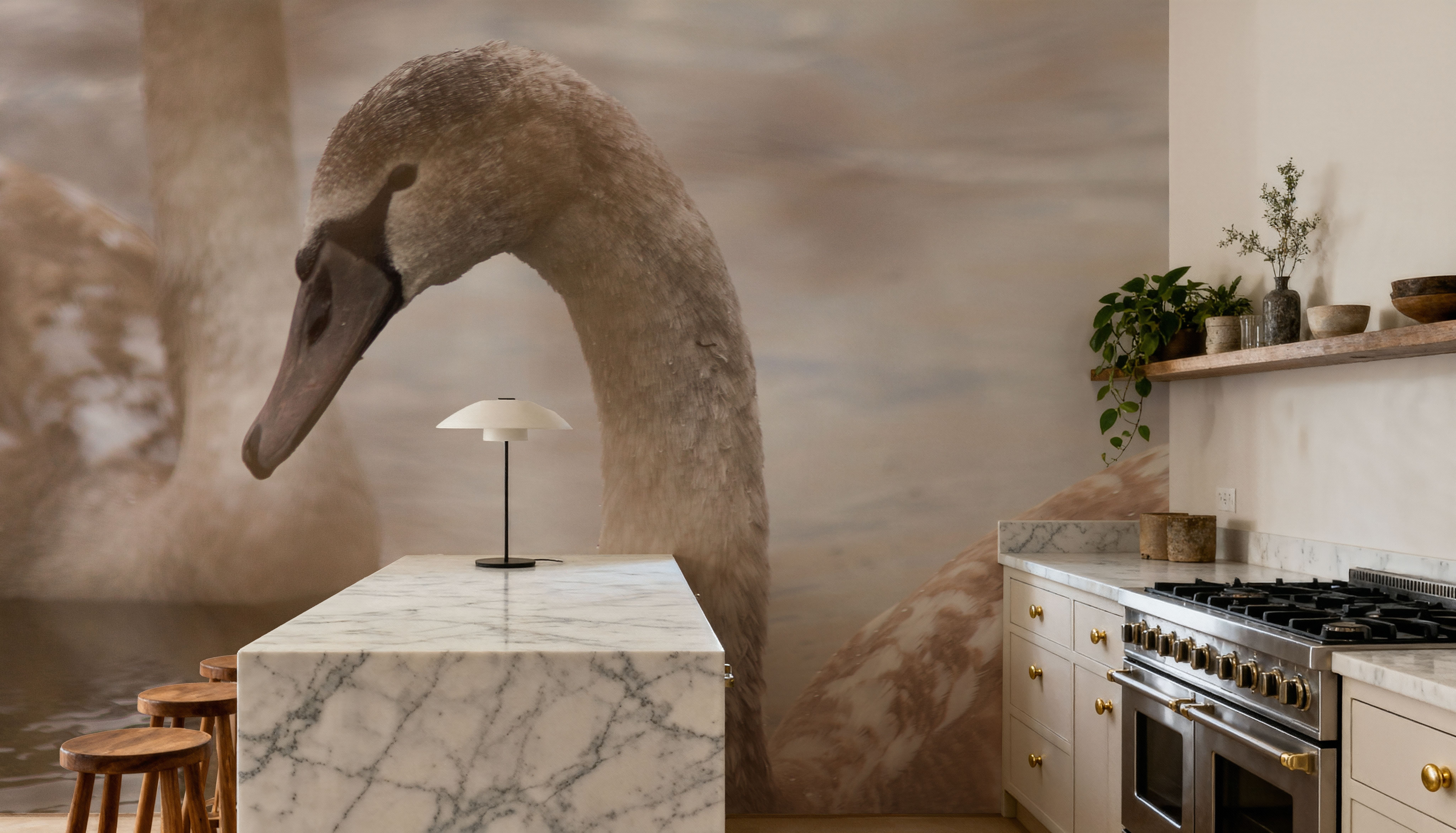 Romantic Swans