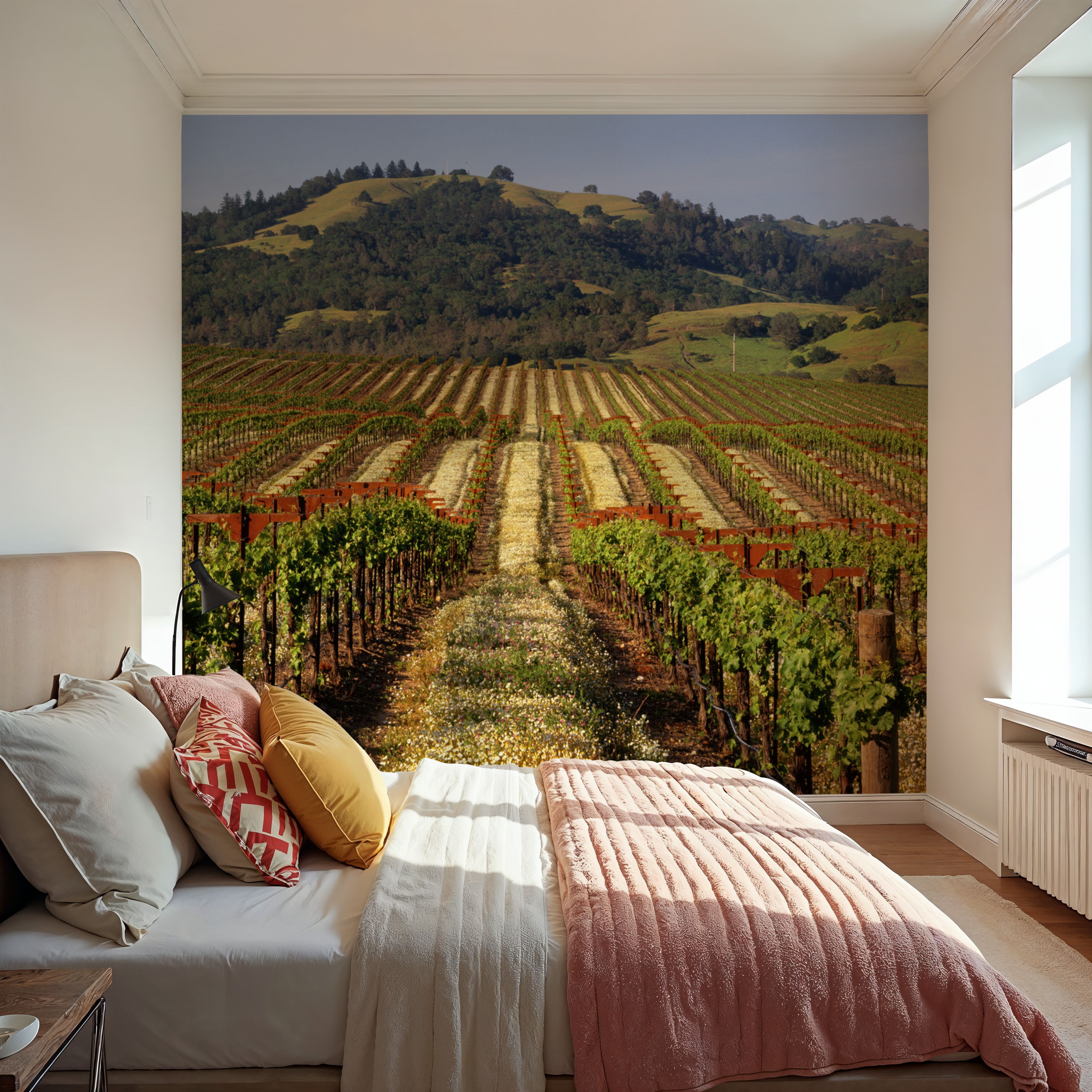 Vineyard Dreams