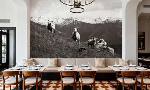 Wanaka Sheep III