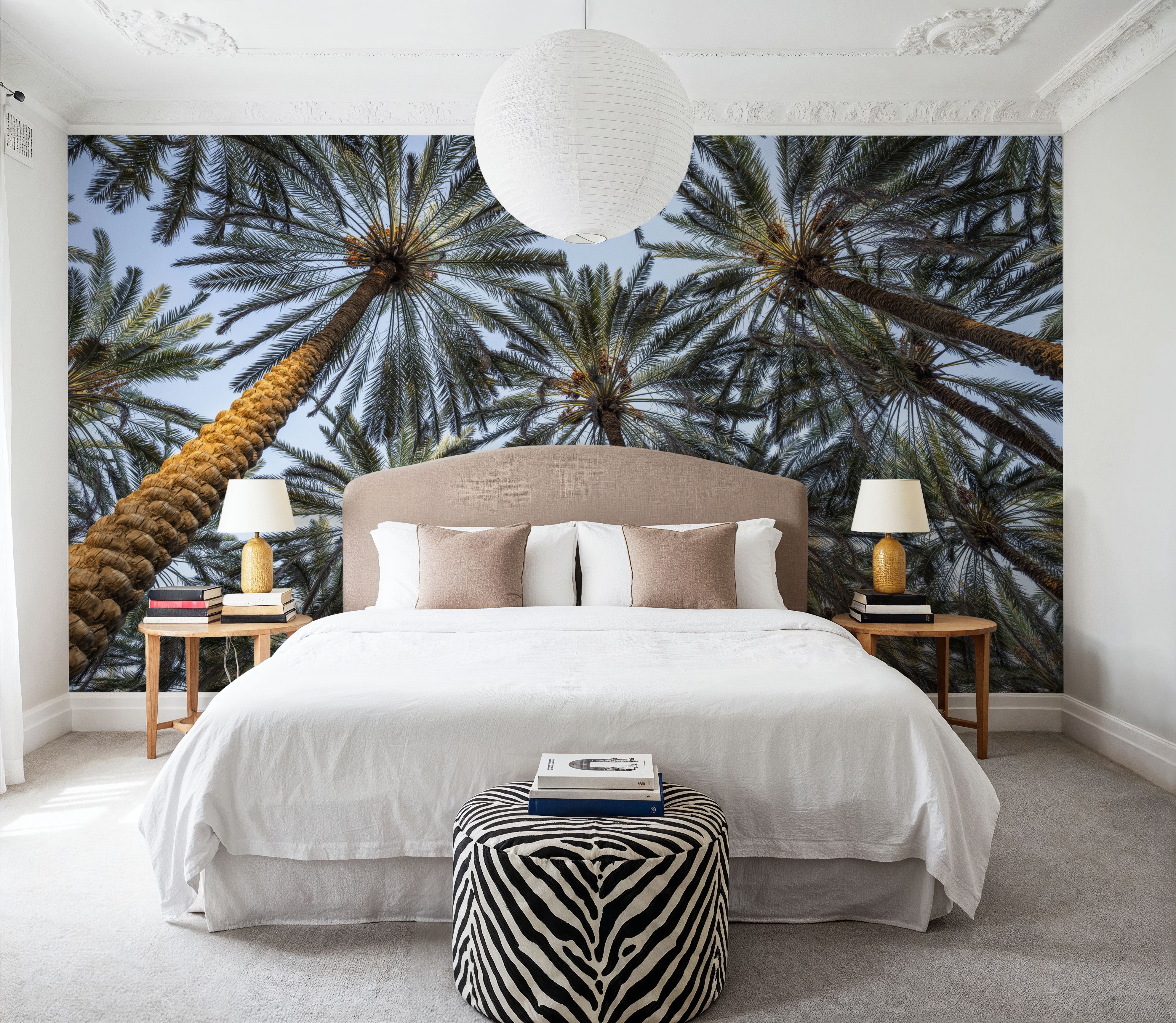 Tropical Canopy