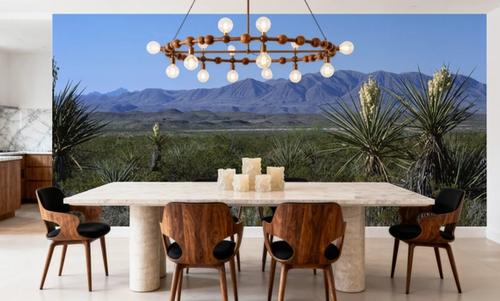 Desert Yucca Vista