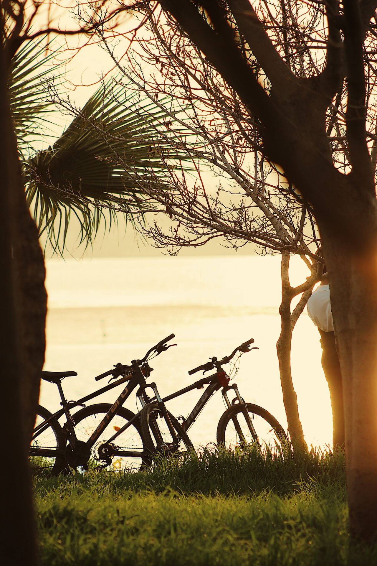 Guided Bicycle Tour through Scenic Routes
