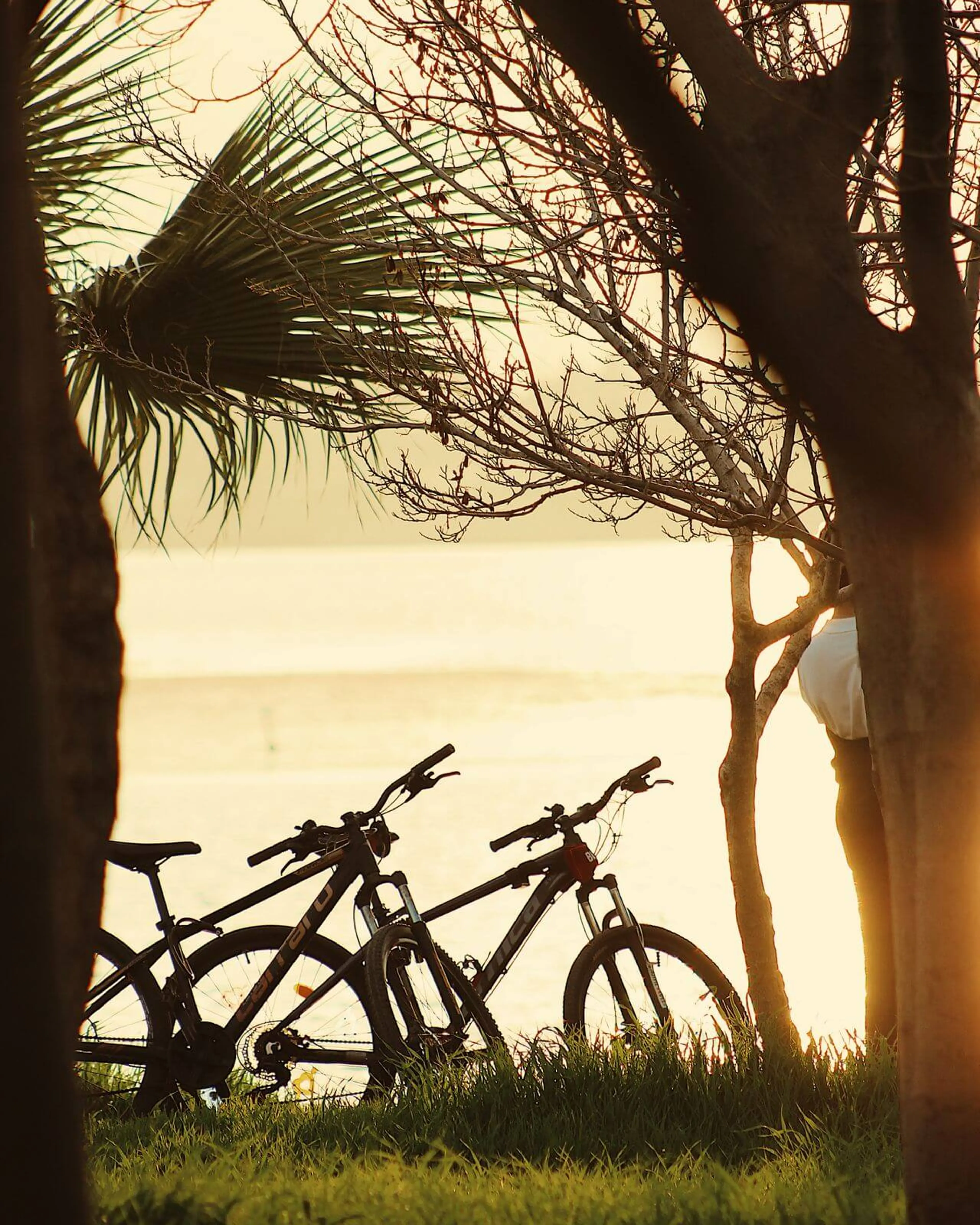Guided Bicycle Tour through Scenic Routes