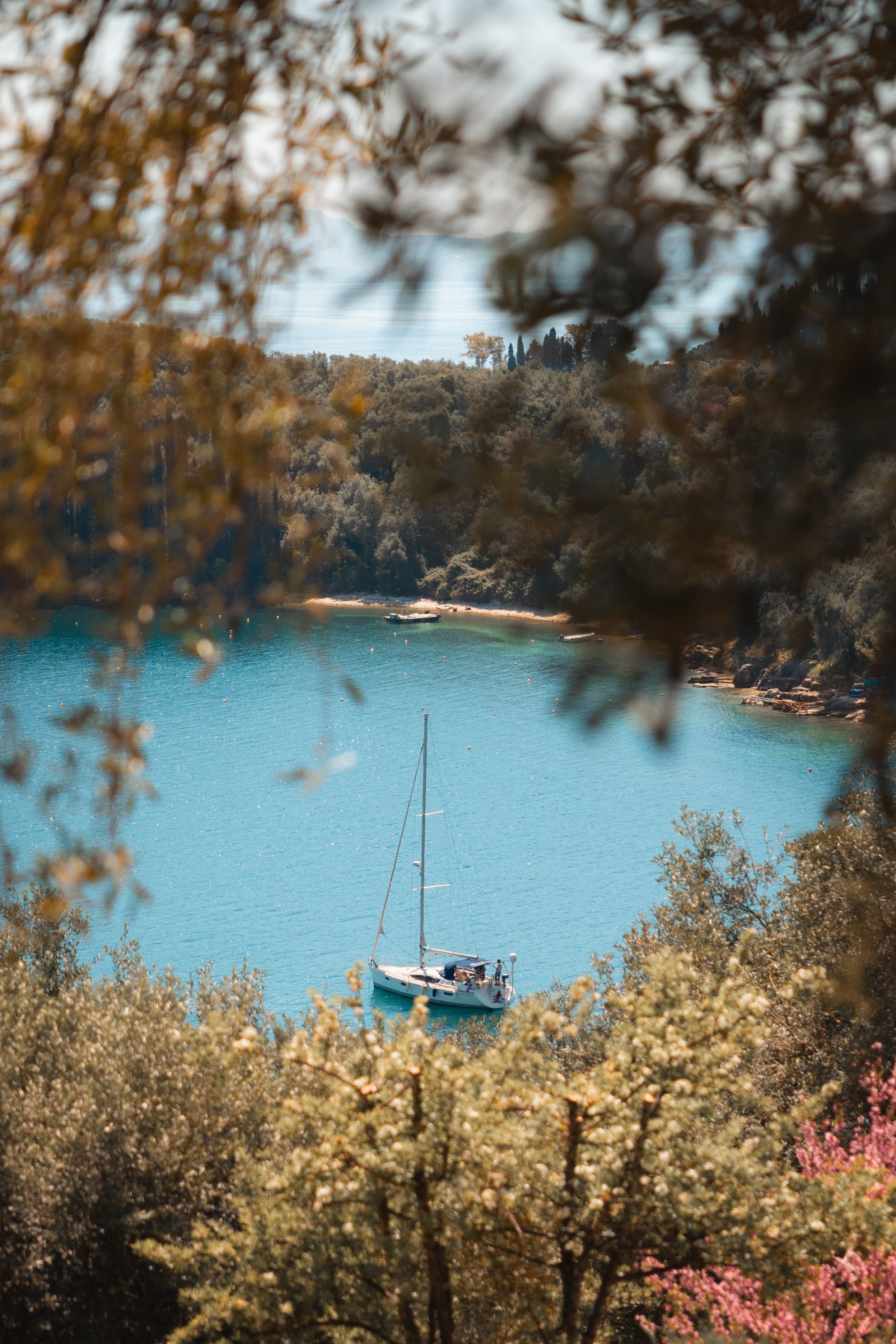 Kalami Trees View