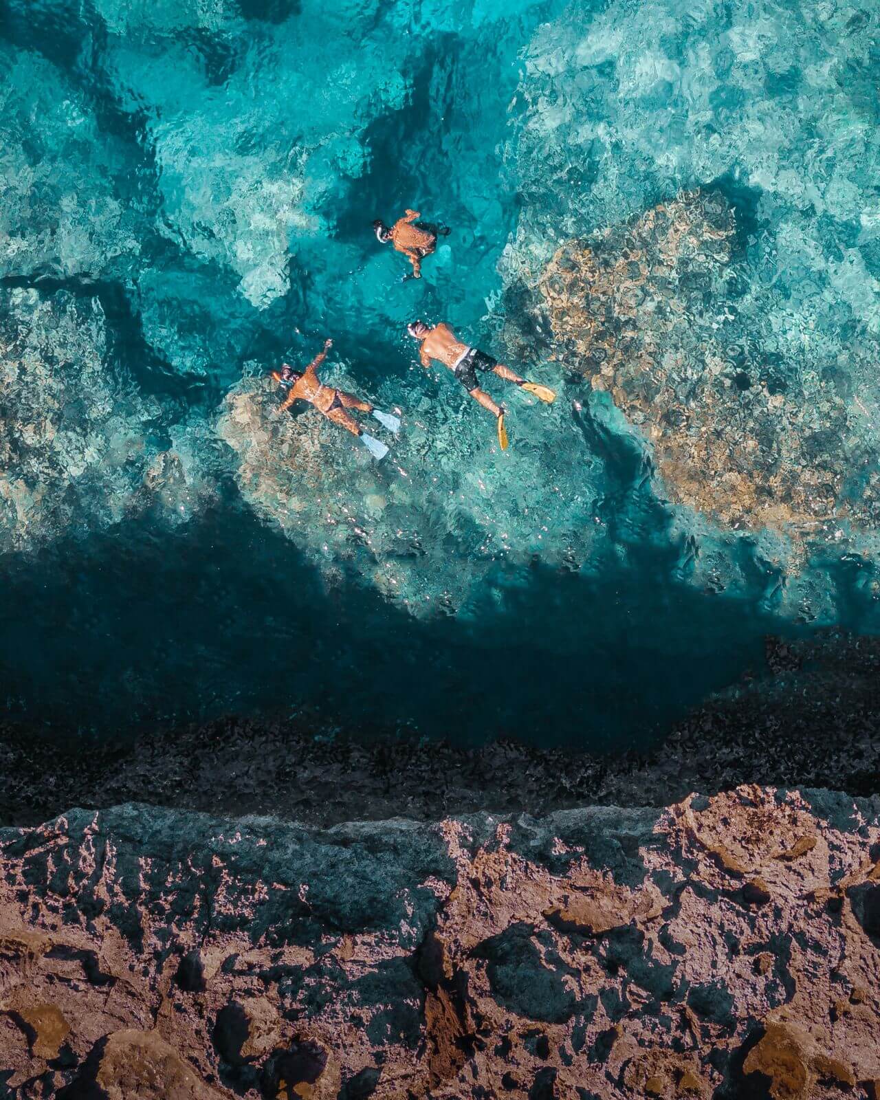 Snorkeling Adventure in Pristine Waters