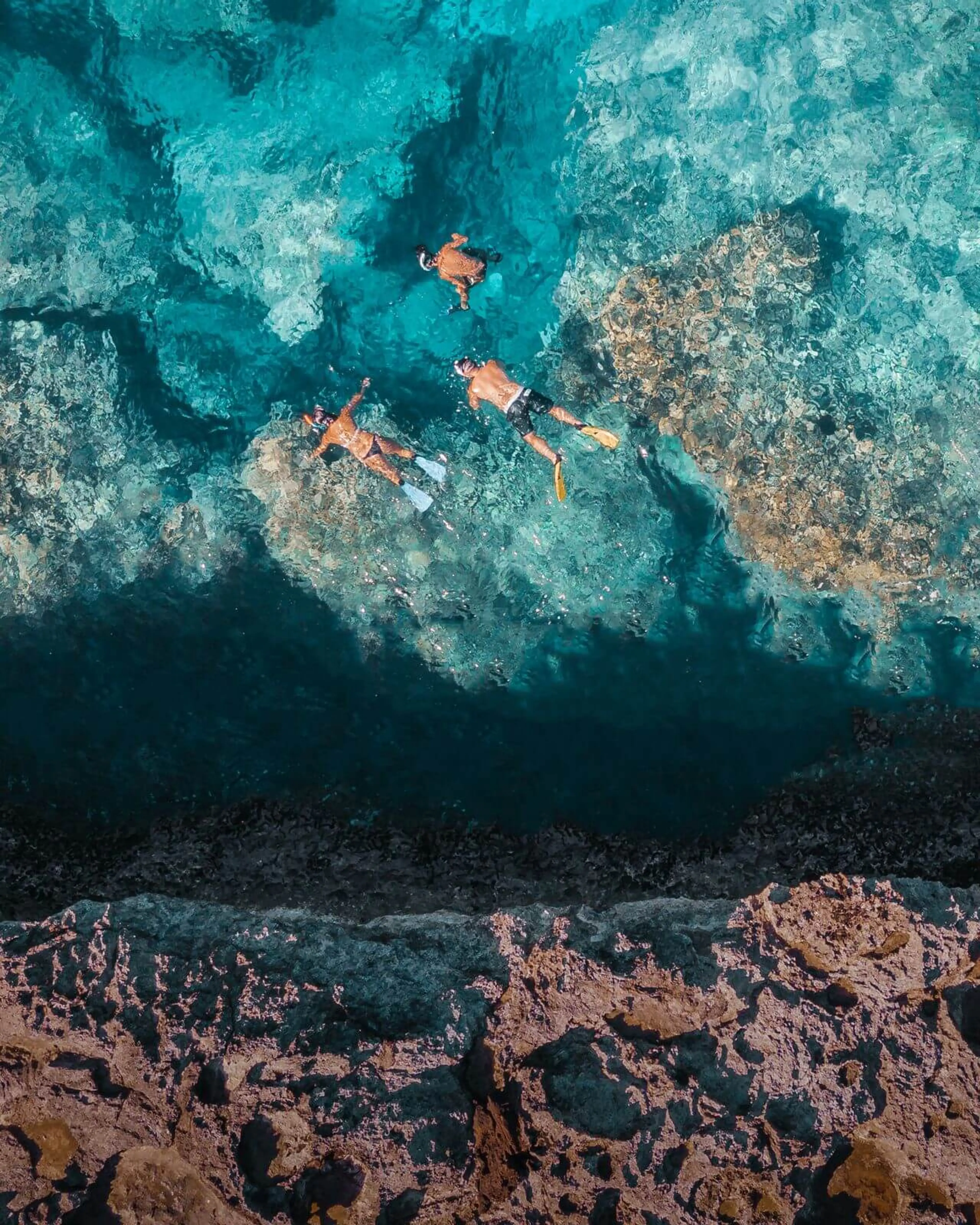 Snorkeling Adventure in Pristine Waters