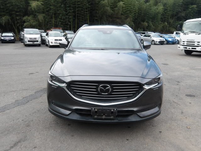 2019 Mazda CX8 - view 3
