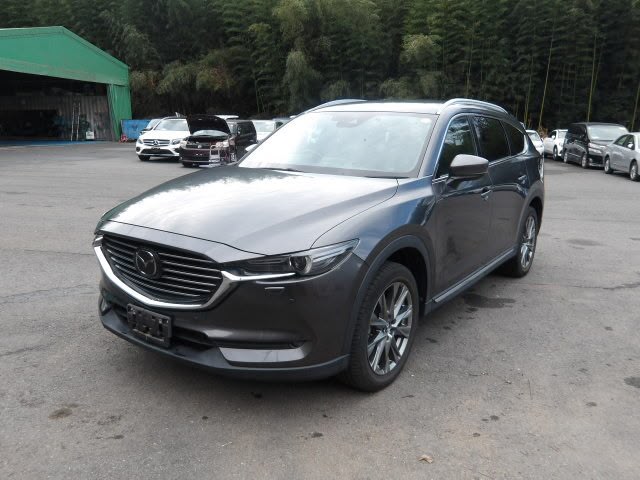 2019 Mazda CX8