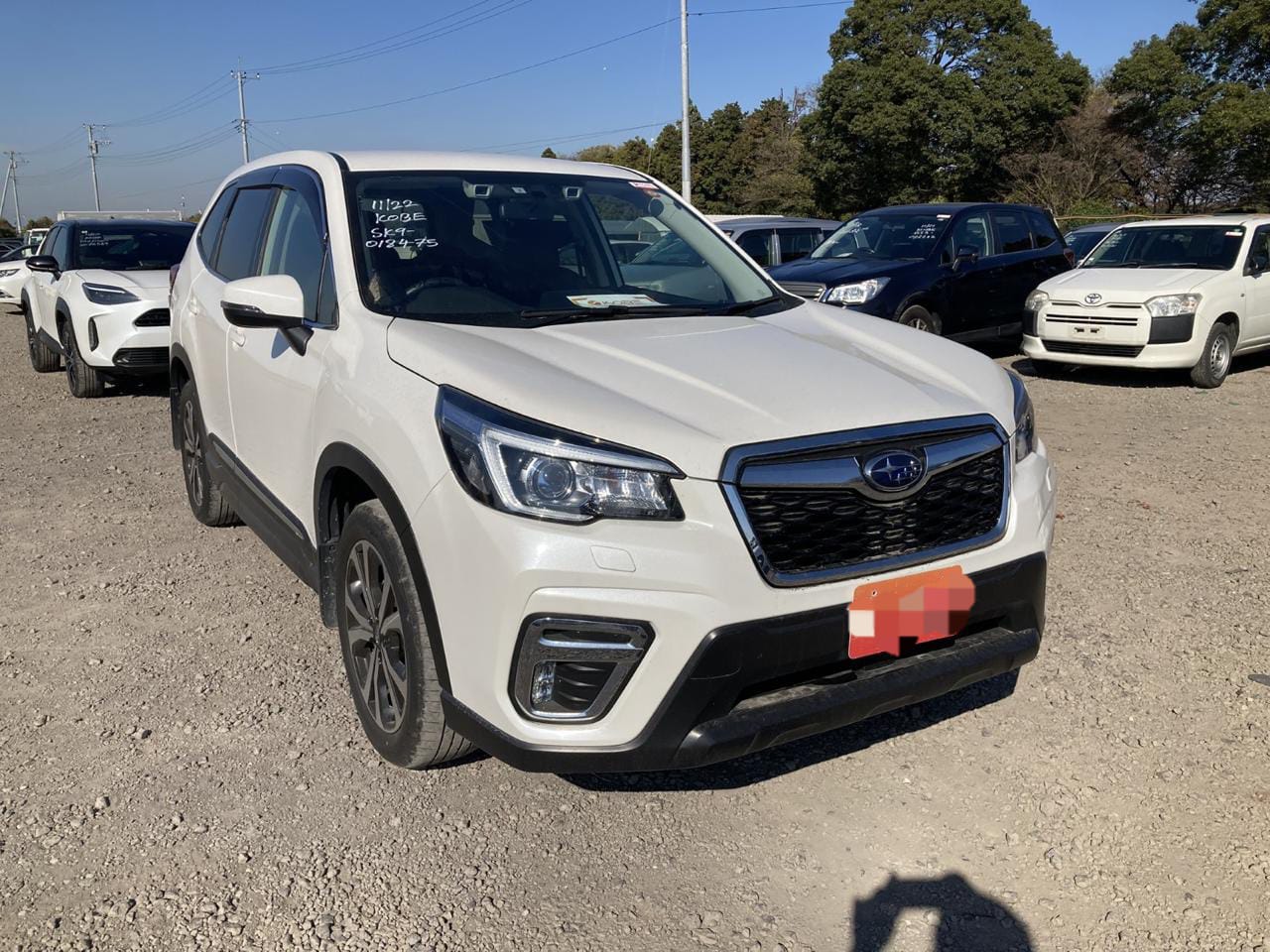 2019 Subaru Forester SK-9