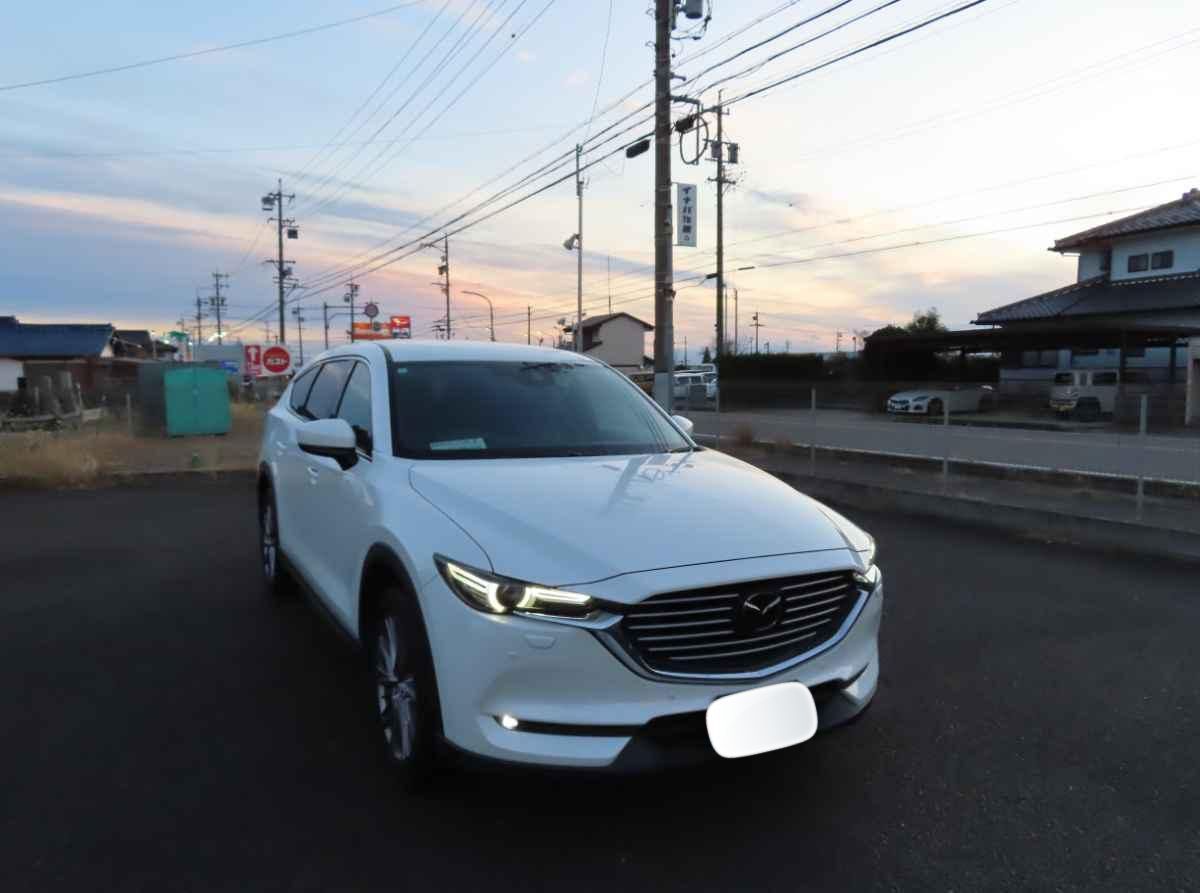 2019 Mazda CX8  - view 3