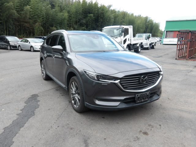 2019 Mazda CX8 - view 2
