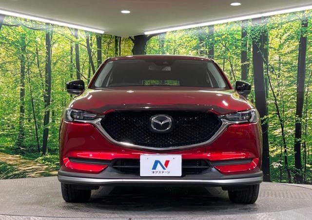 2019 Mazda CX5 thumbnail 5