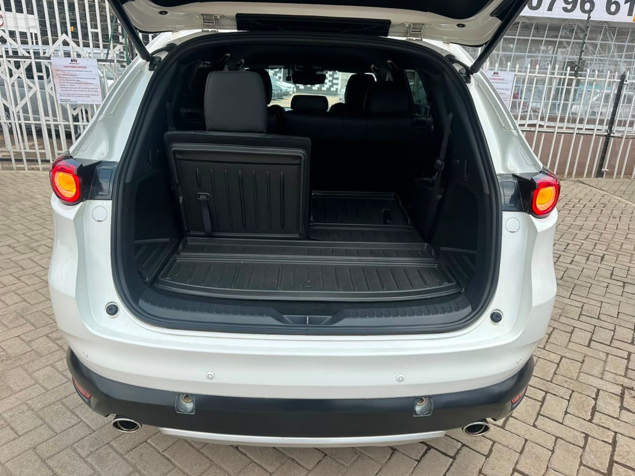 2018 Mazda CX8 thumbnail 13
