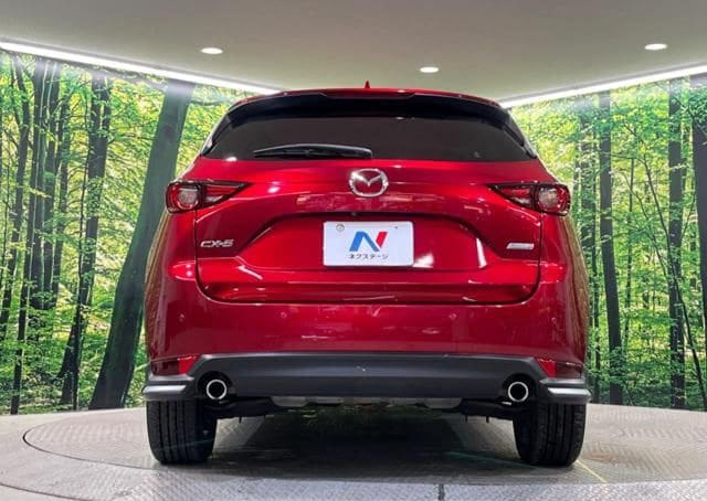 2019 Mazda CX5 thumbnail 6