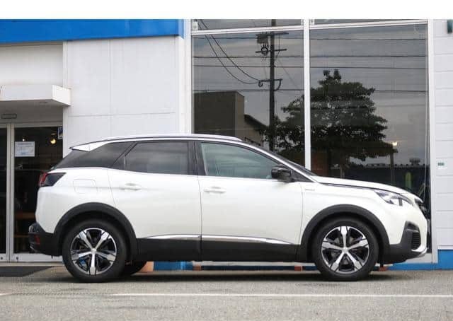 2019 Peugeot 3008 thumbnail 7