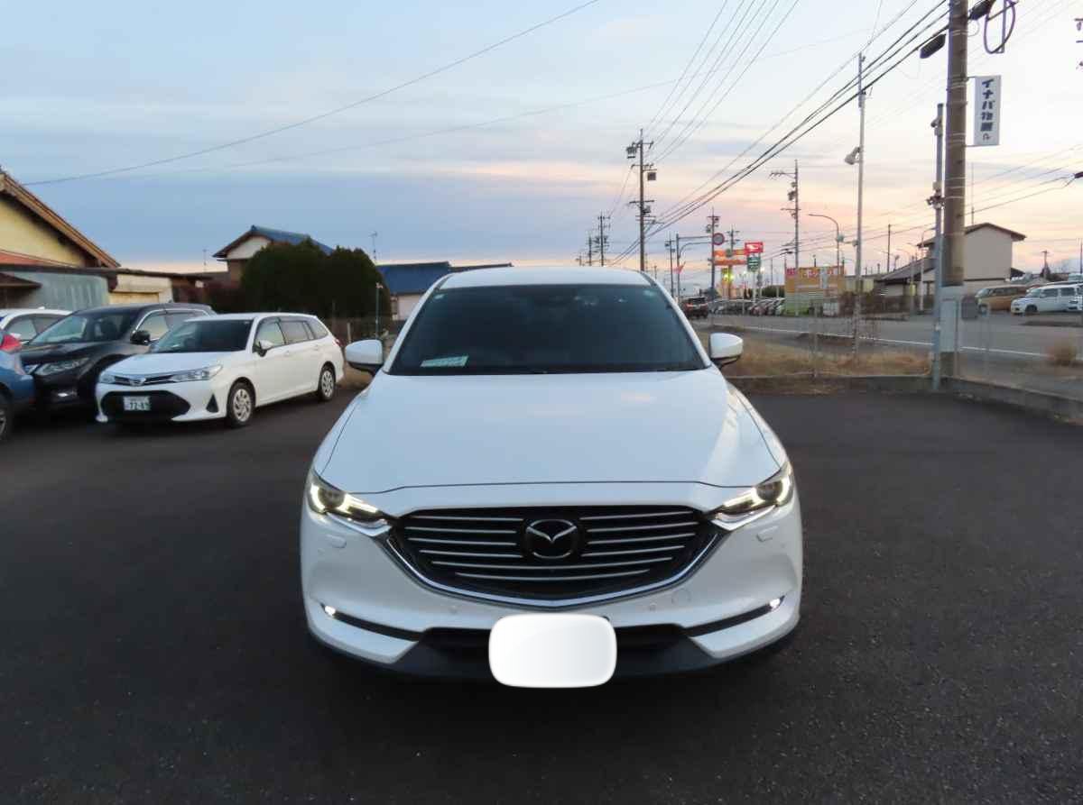 2019 Mazda CX8  - view 2