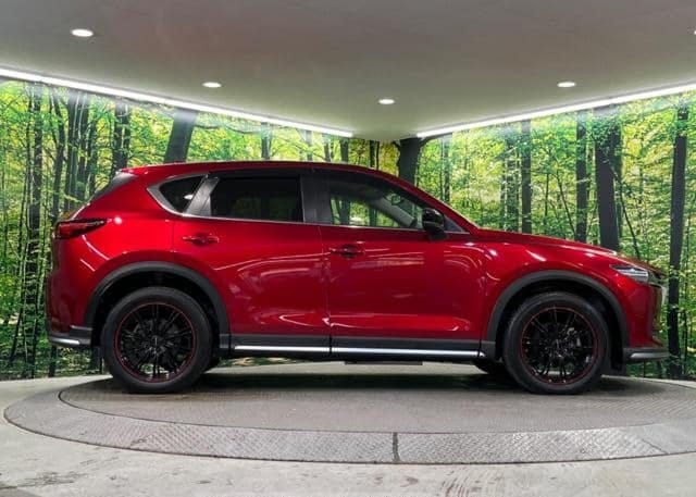 2019 Mazda CX5 - view 3