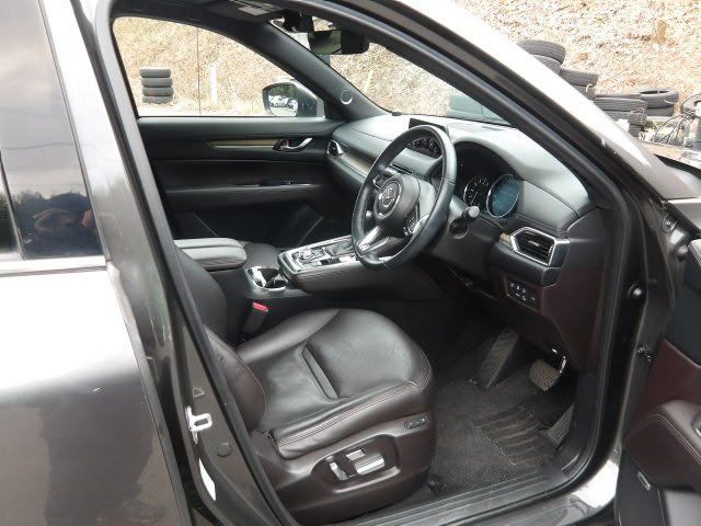 2019 Mazda CX8 thumbnail 6