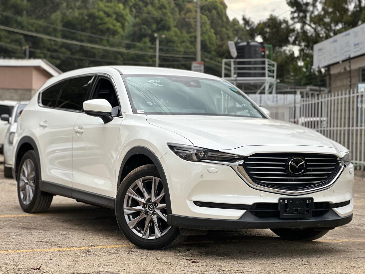 2019 Mazda CX8  - view 2