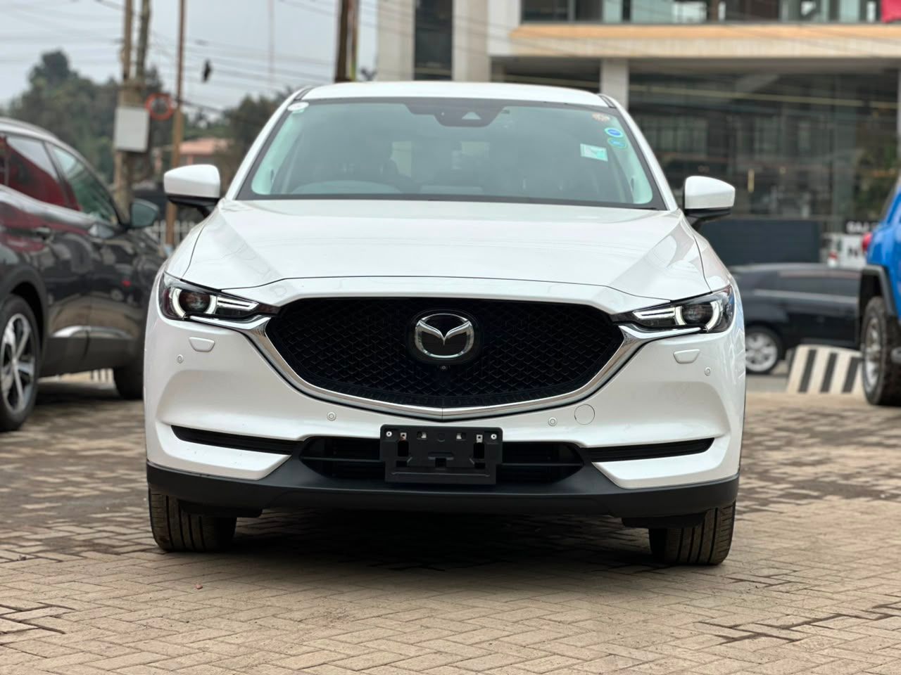 2019 Mazda CX5 - view 3