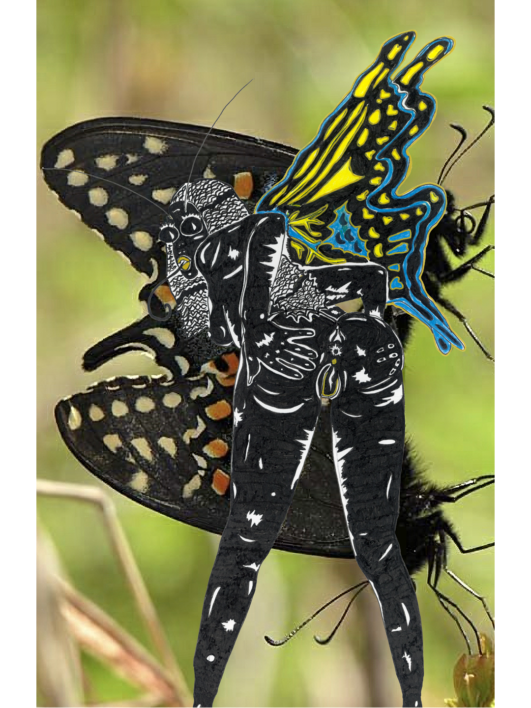 Zakiya Mowat, Mating of Tiger Swallowtail