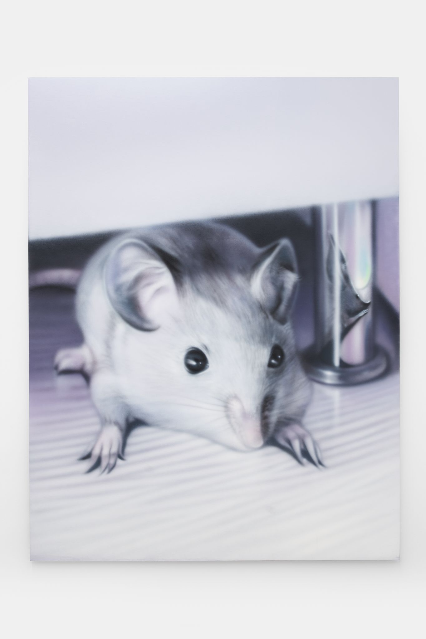 Sam Cockrell, House Mouse, Czapnik Rd