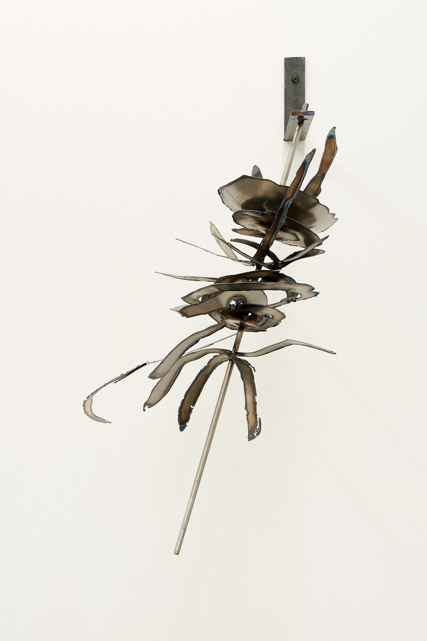 jiwoong, MN-049.0507.bKM