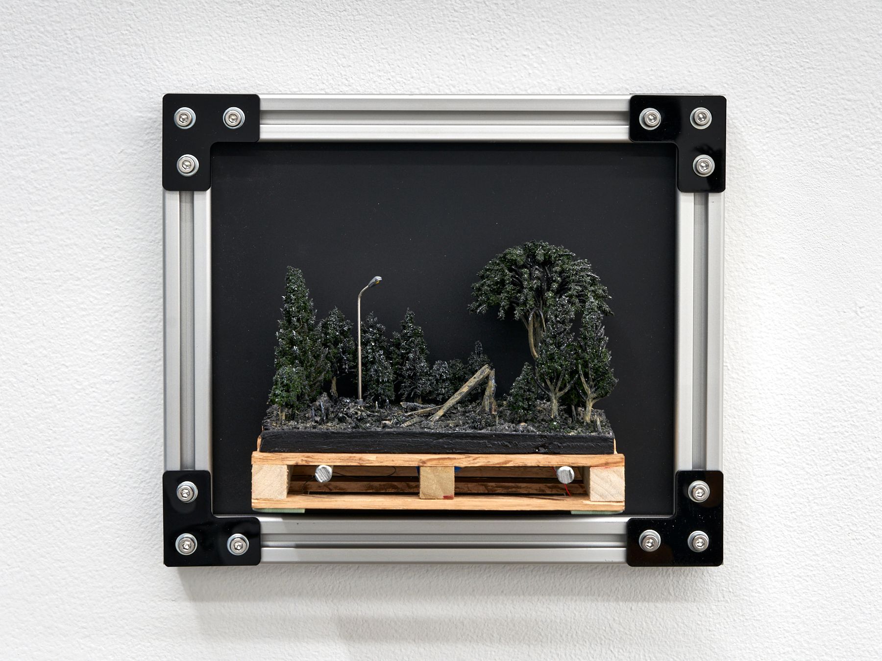 Brian Oakes, PALLET 4 (Fallen Tree)