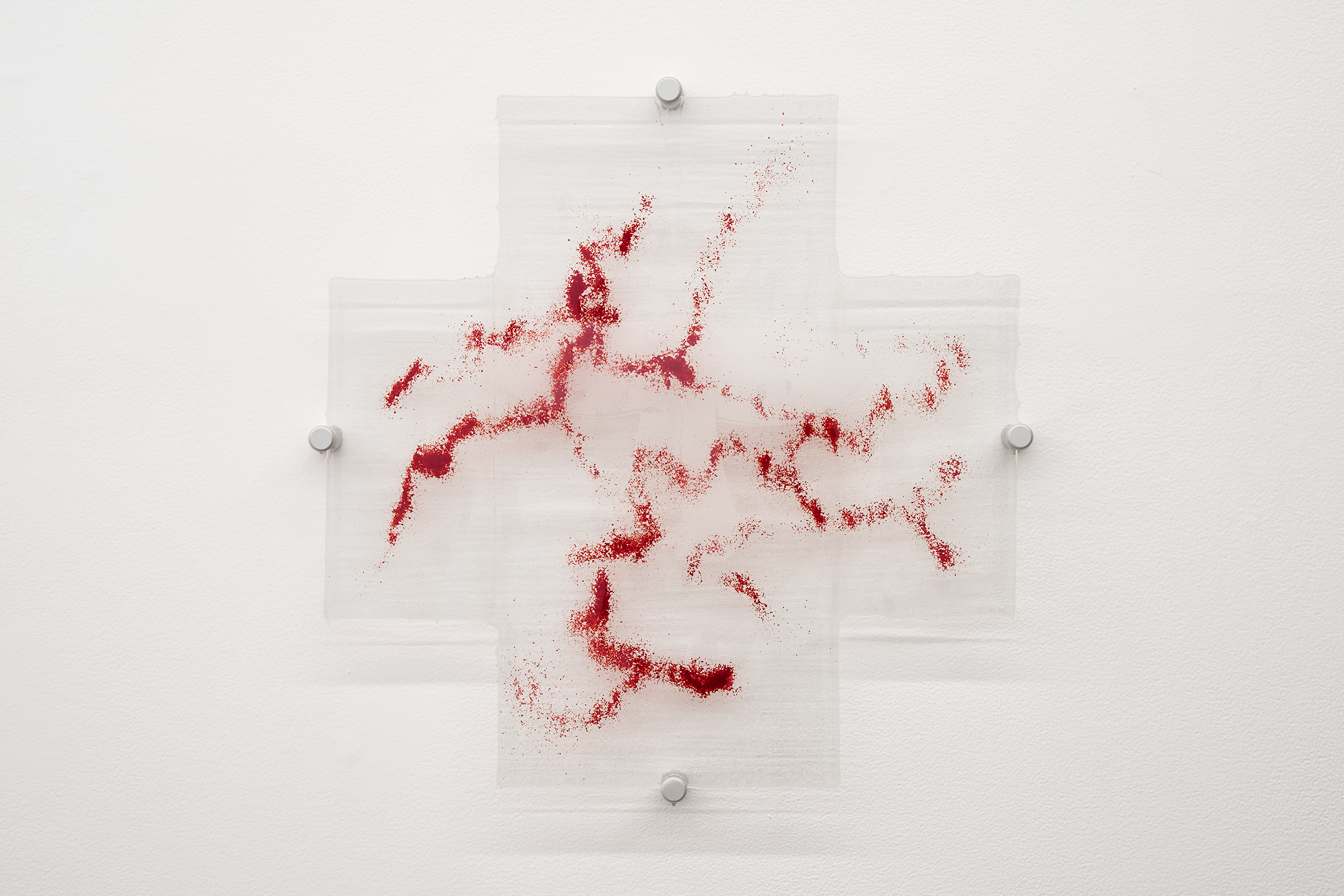Adrienne Greenblatt, Eyes with which to see