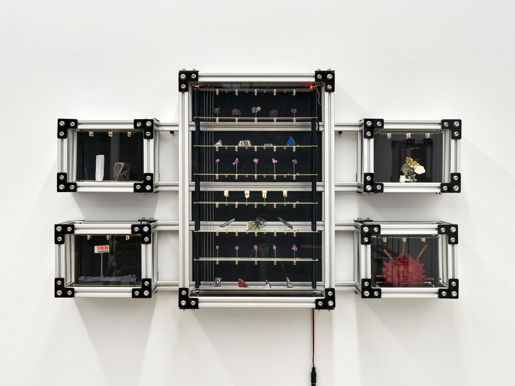 Brian Oakes, Display Case 1 (A Body)