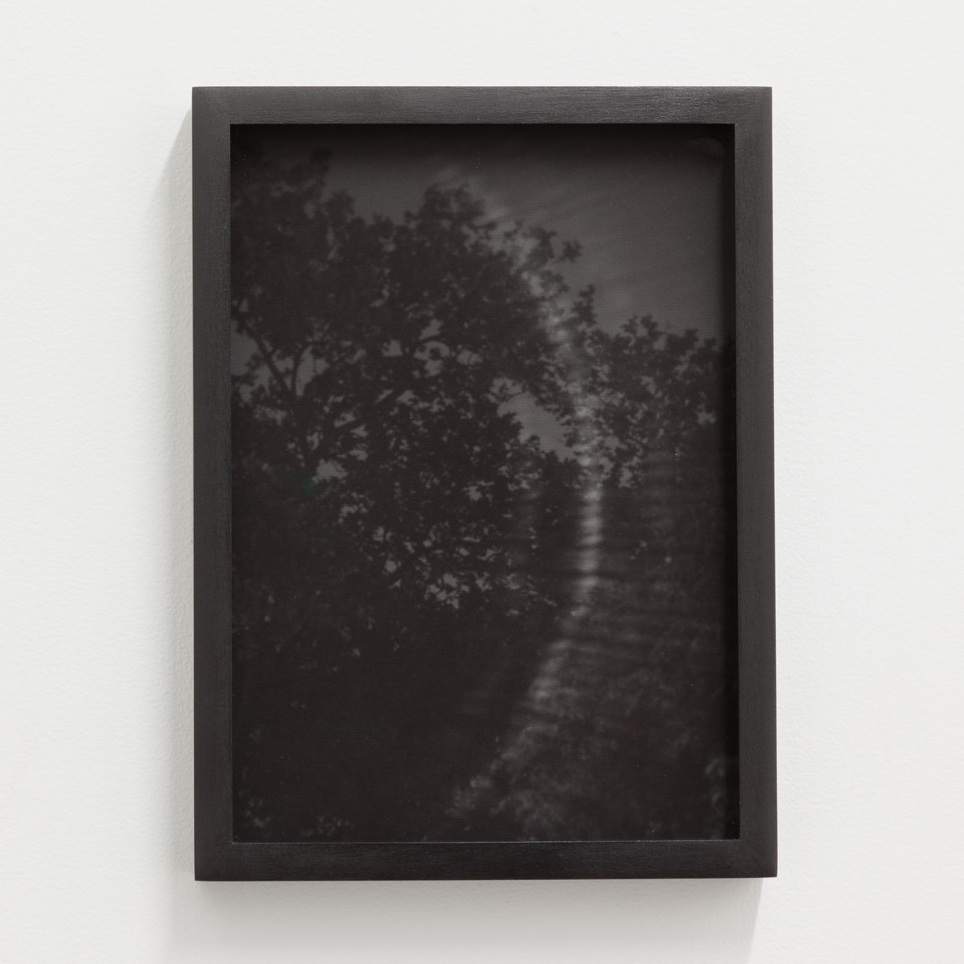 jiwoong, Untitled