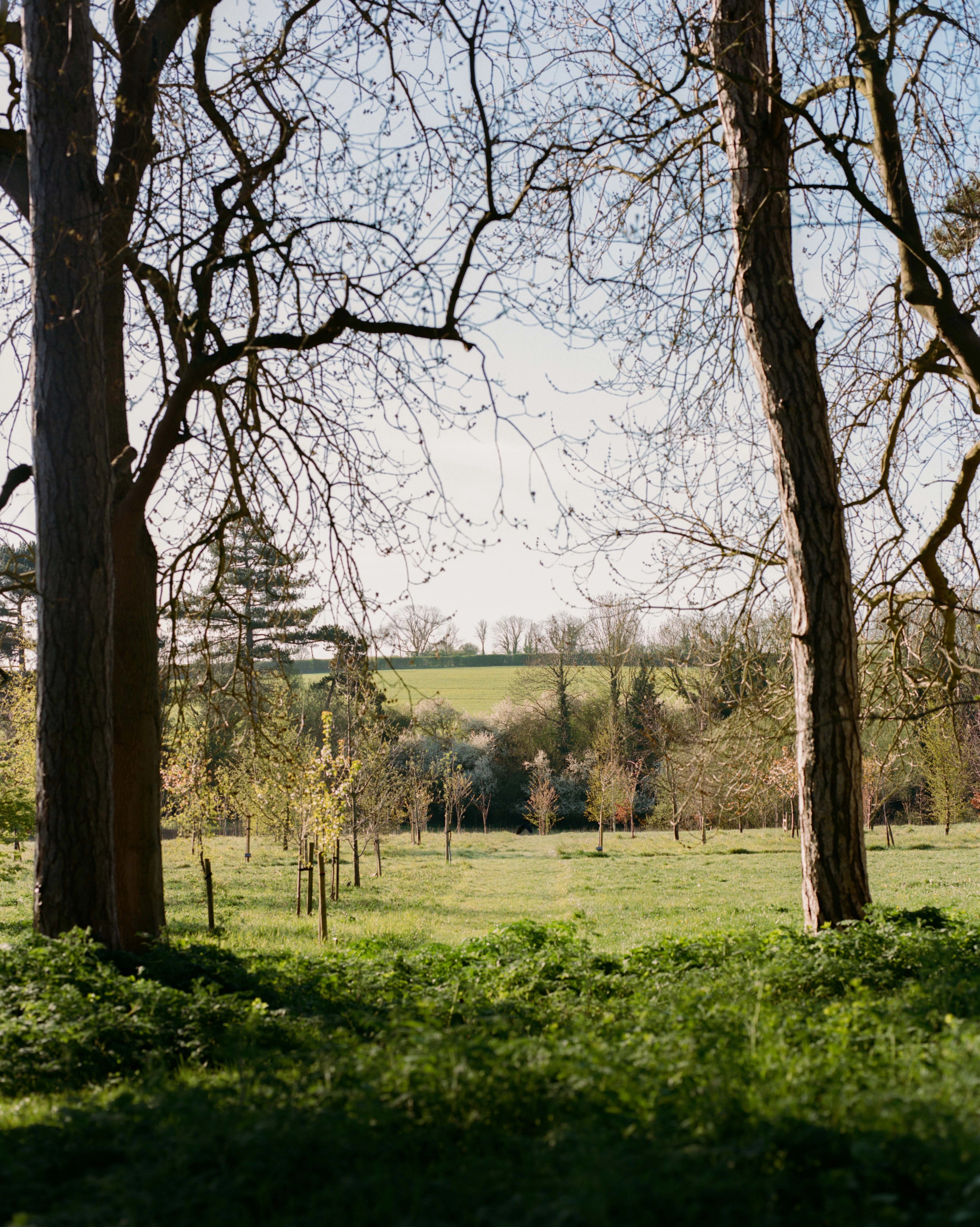 natural burial ground in Ketton