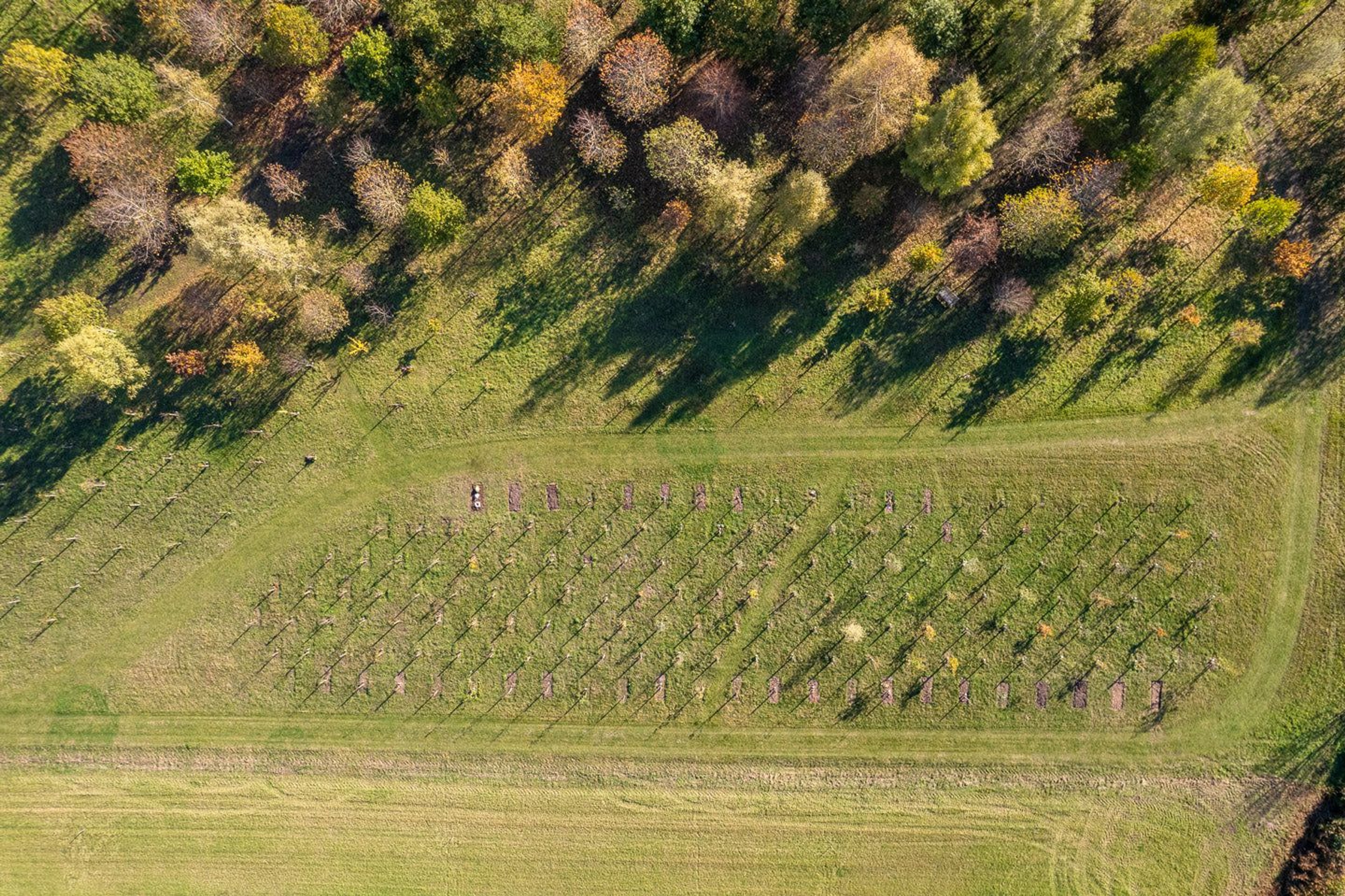 a birds eye view of a natural burial site