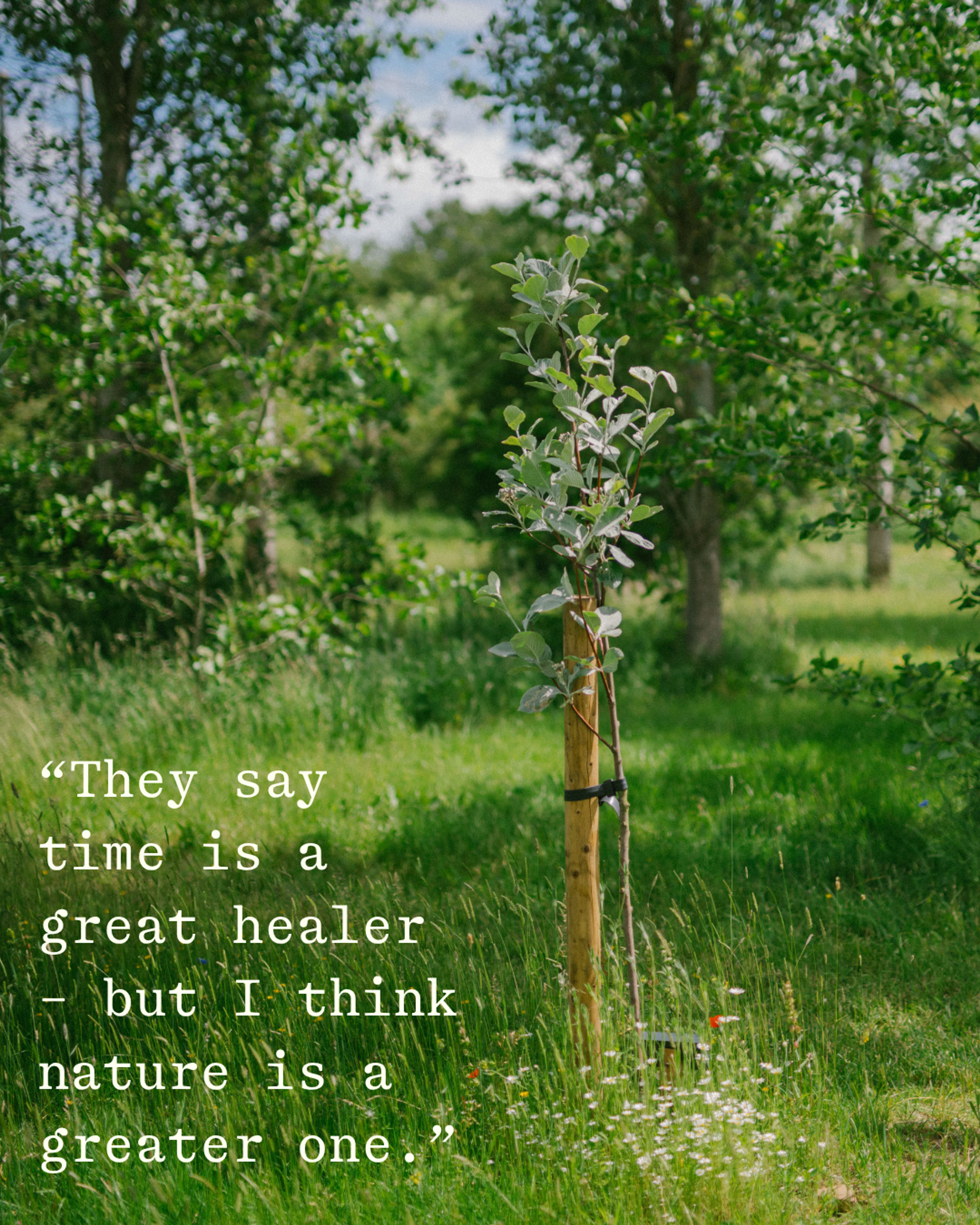 grief support natural burial