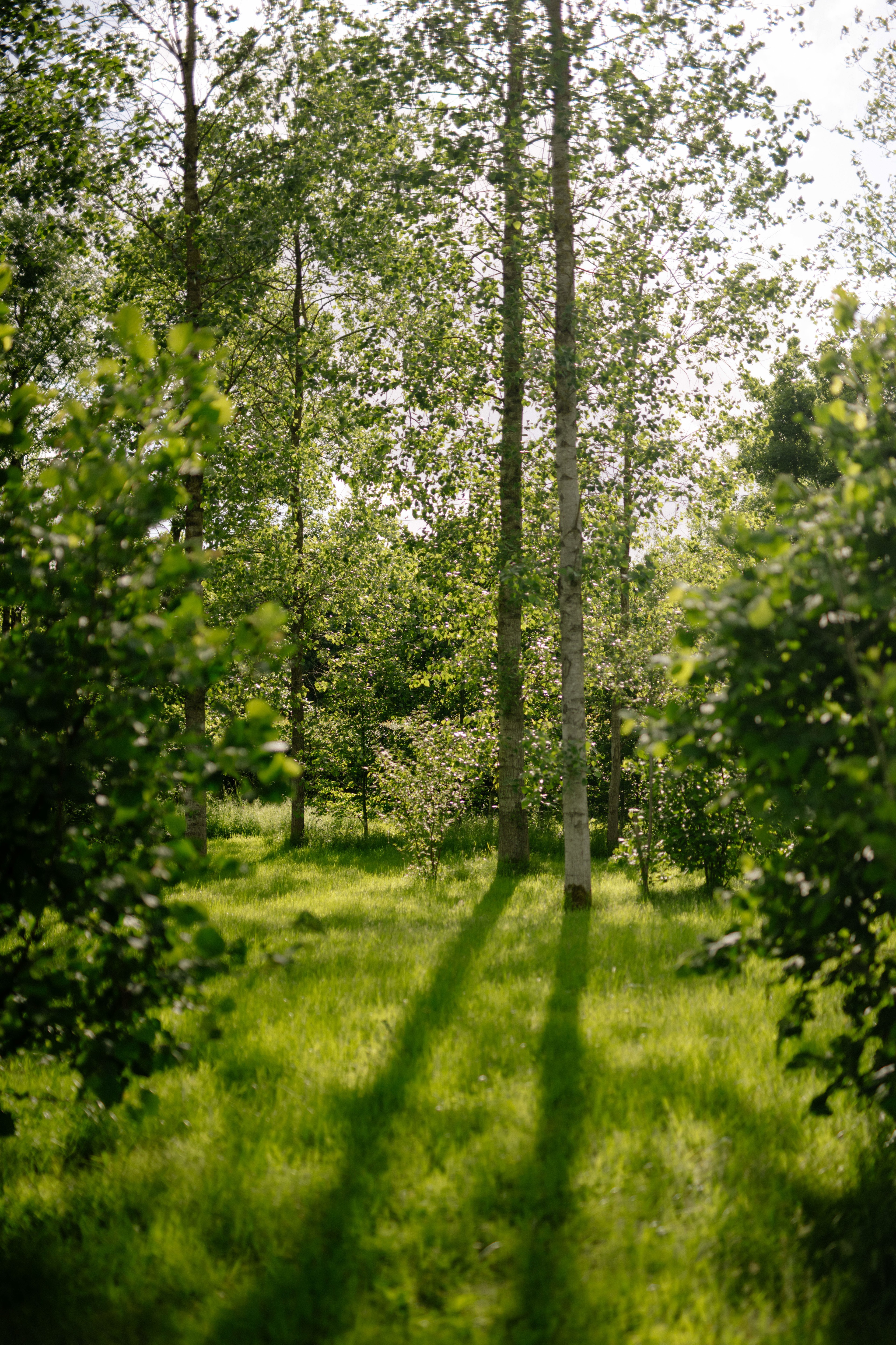 natural burial ground in Markfield