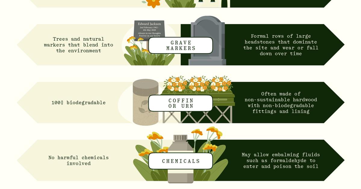 How to explain natural burial to family & friends | | Tithe Green ...