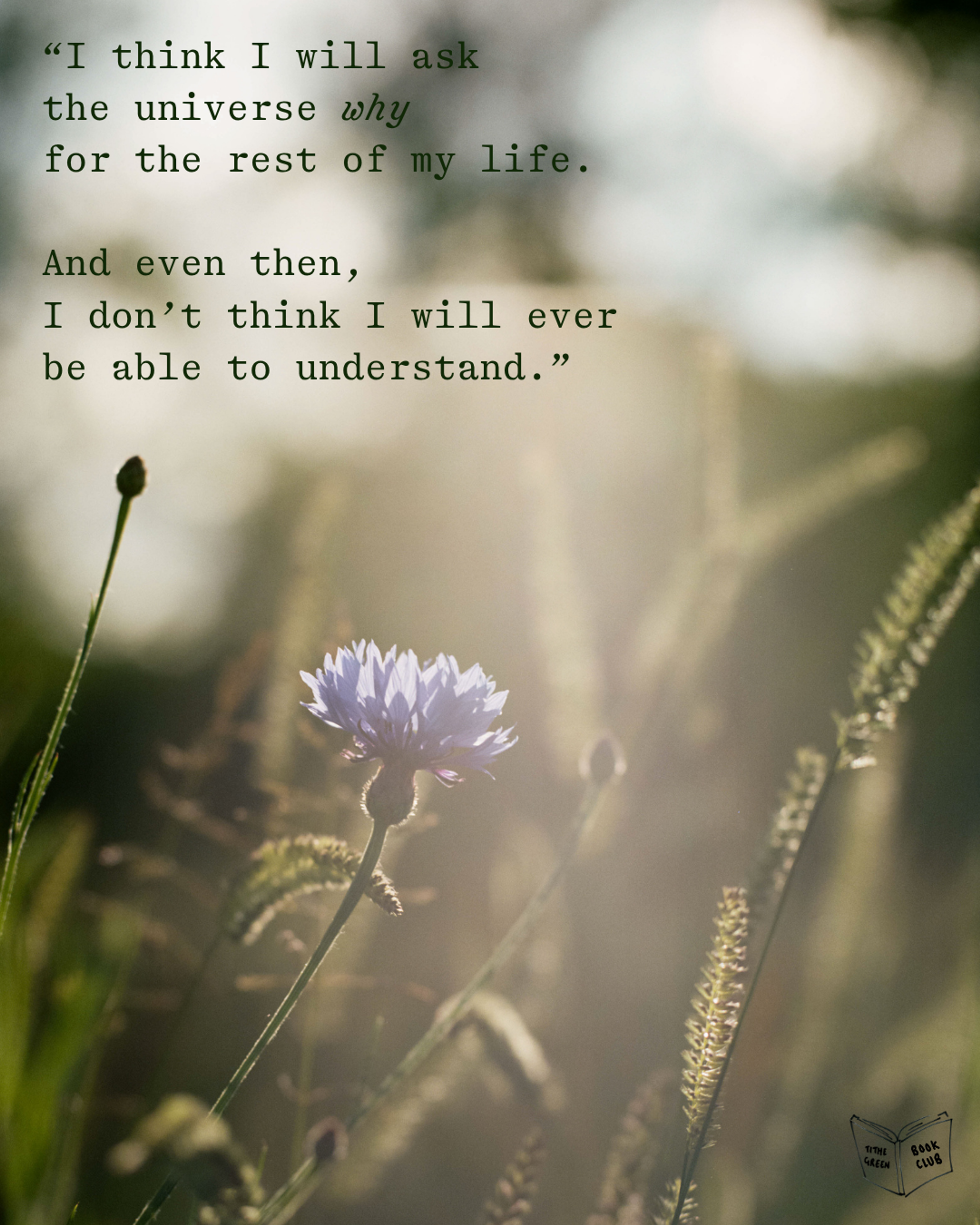 Pretty Painful Grief Letters excerpt